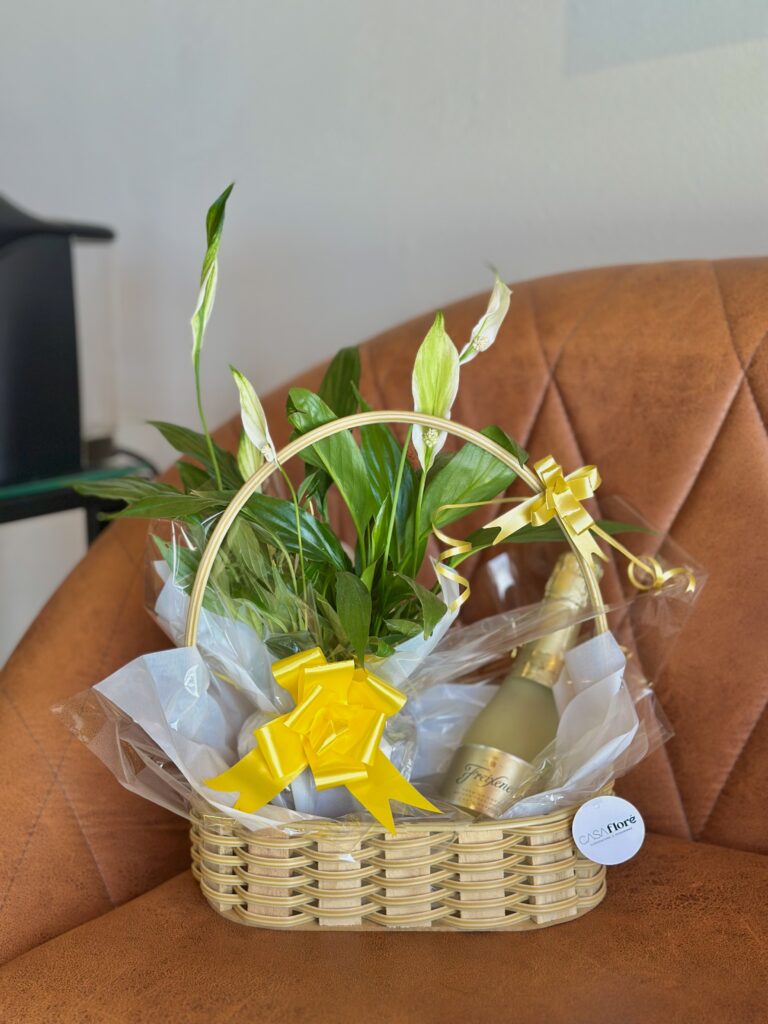 Cesta G + mini lírio da paz + freixenet