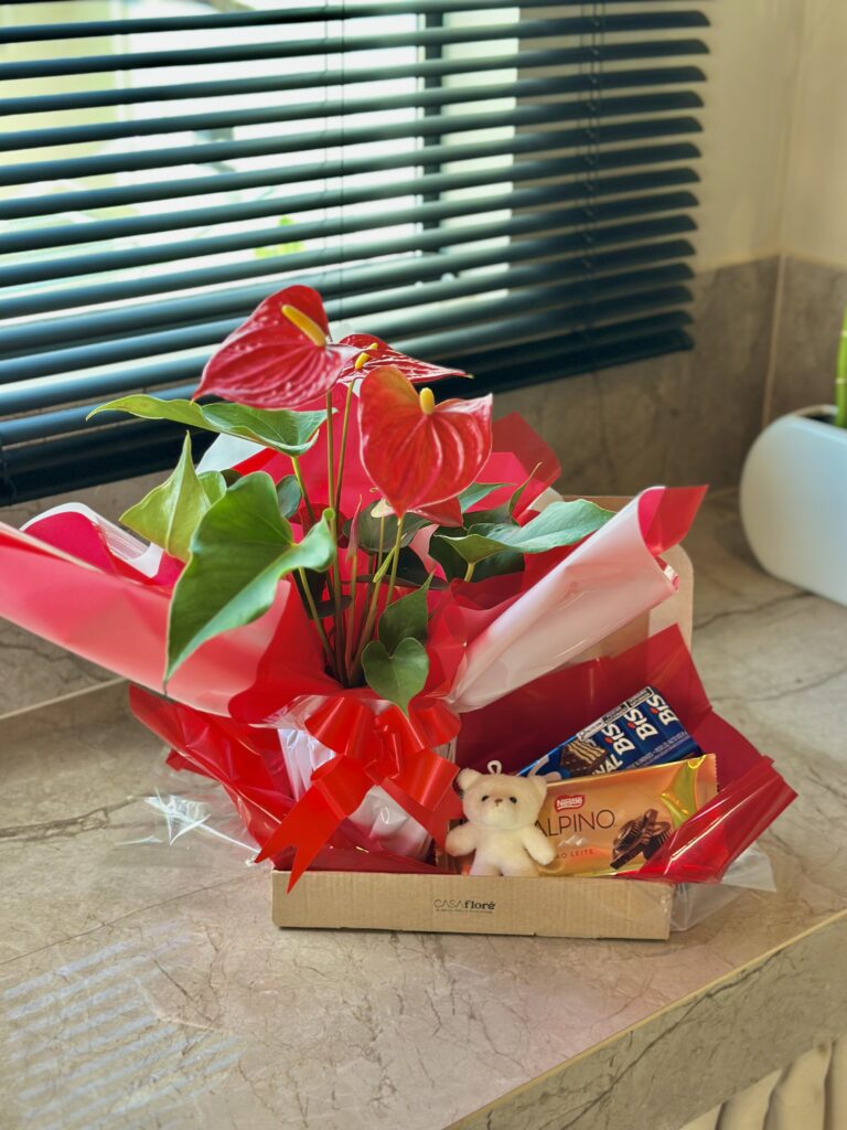 Caixinha de papelão + antúrio vermelho + ursinho + bis + barra de chocolate