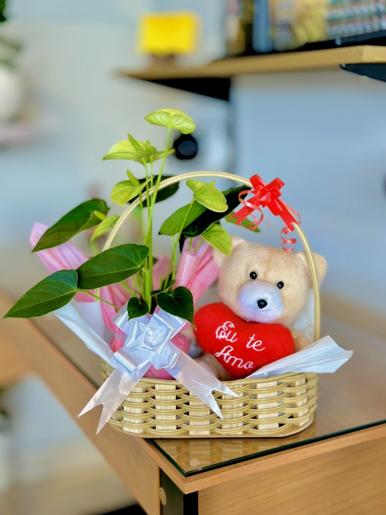 Cesta M + antúrio branco + urso de pelúcia