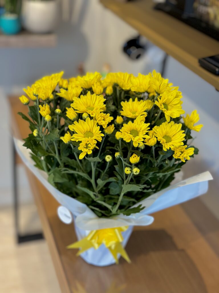 Crisântemo amarelo GG