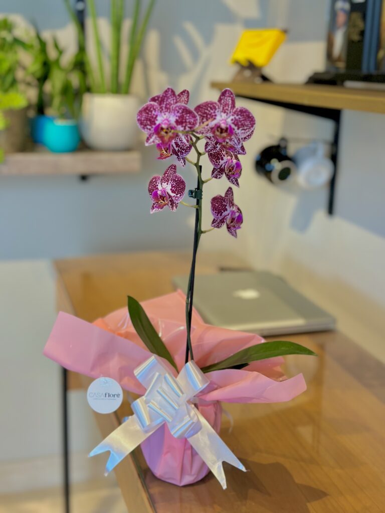 Orquídea