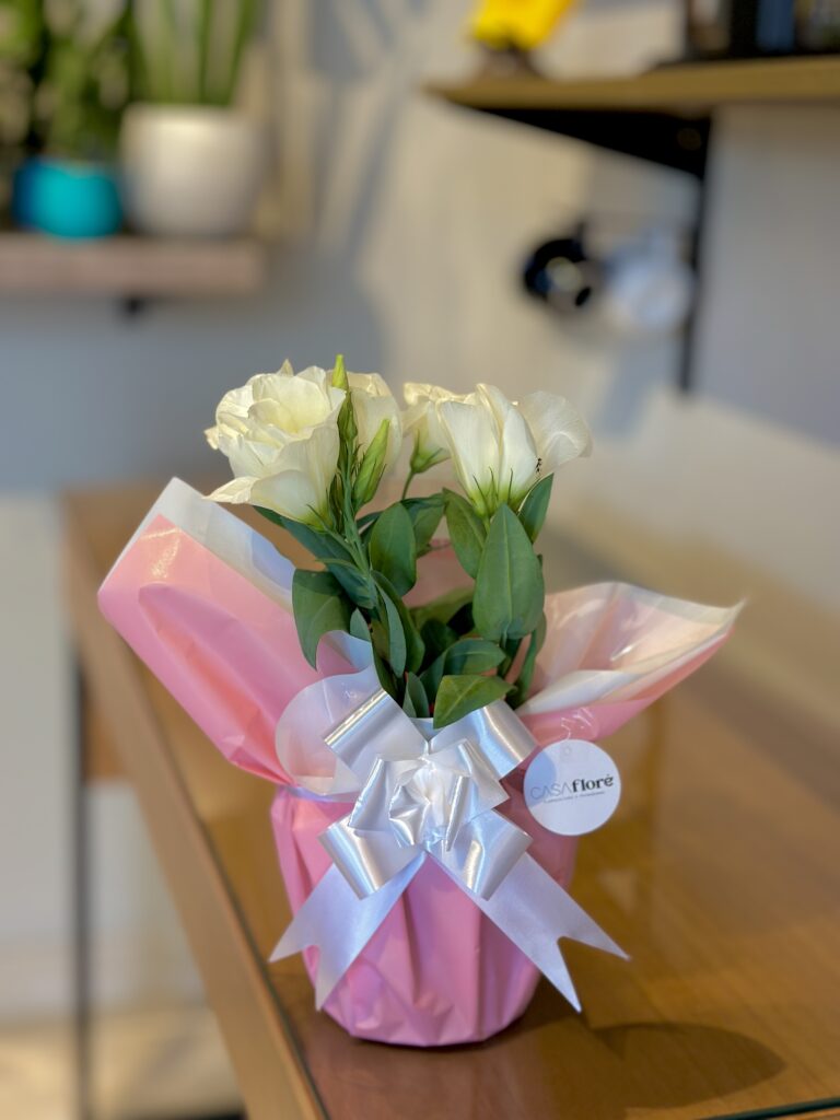 Lisianthus branco