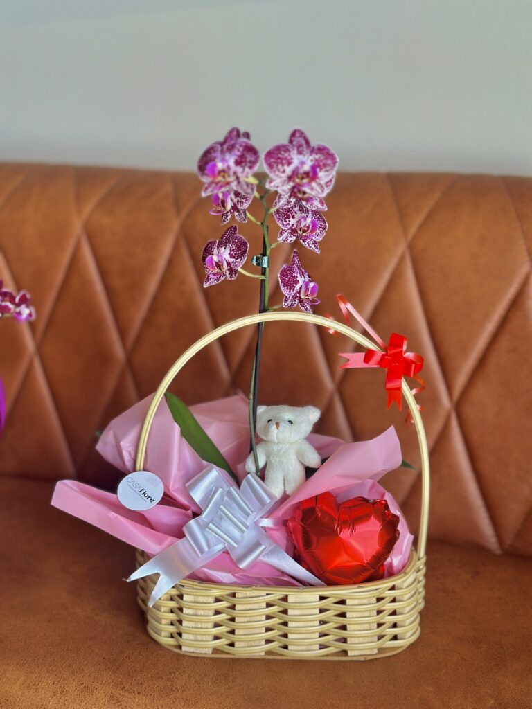 Cesta média + orquídea + ursinho + balao coração