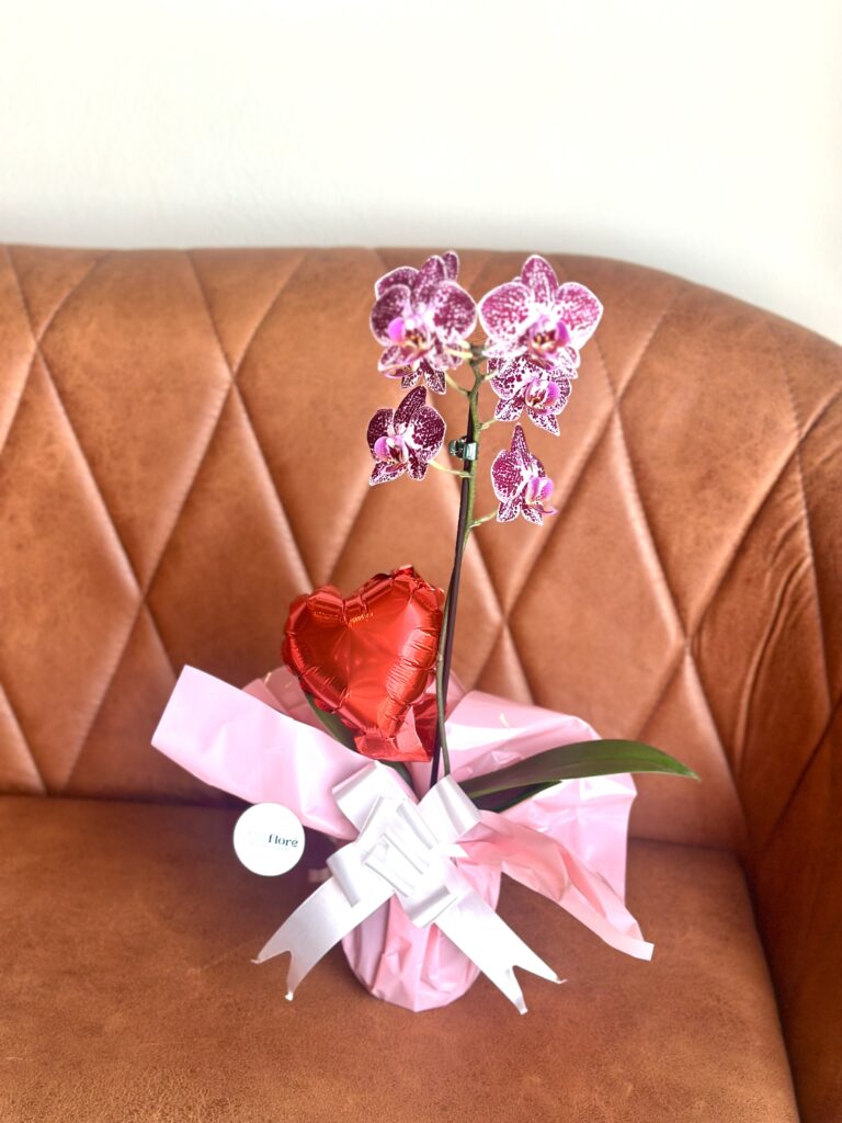 Orquídea + balão coração