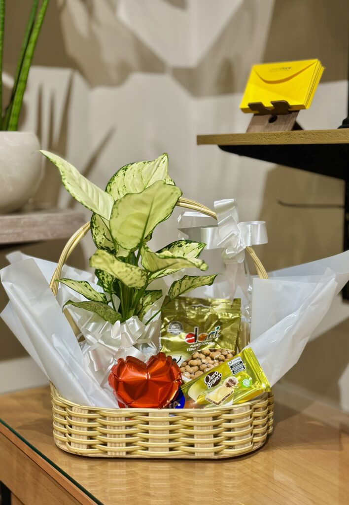 Cesta G + Aglaonema + barra de chocolate + balão coração + amendoim