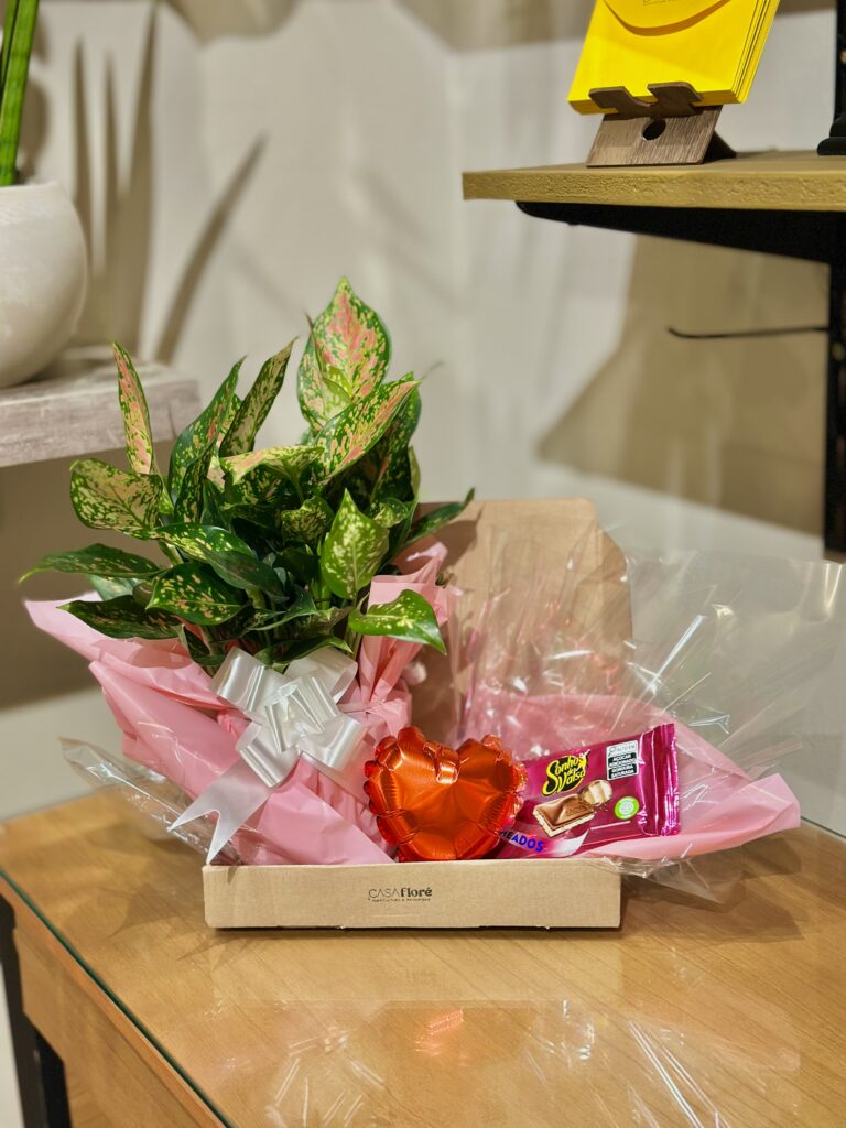 Caixinha de papelão + Aglaonema + balão coração + barra de chocolate sonho de valsa