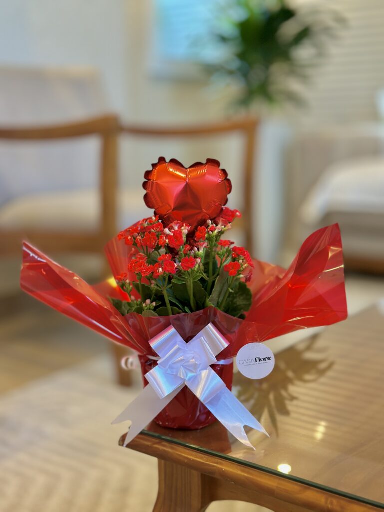 Kalanchoe vermelha + balão coração
