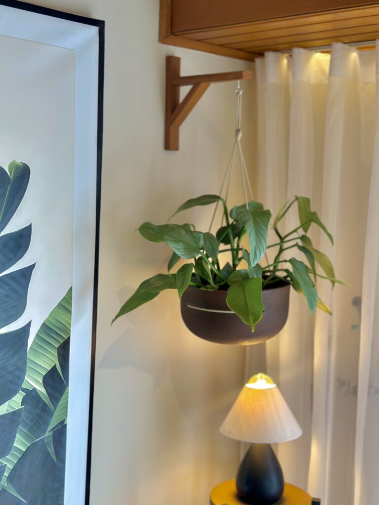 Cachepô pendente aço corten ( ex. Com planta )