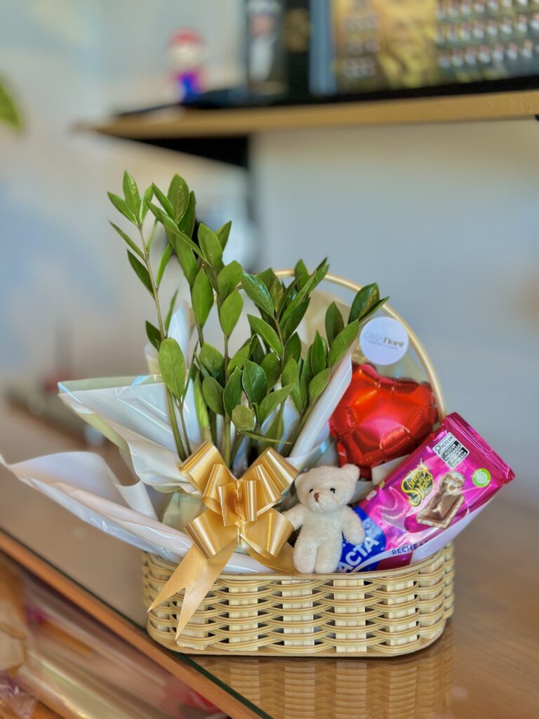 Cesta M + zamioculca + barra de chocolate + ursinho + balão coração