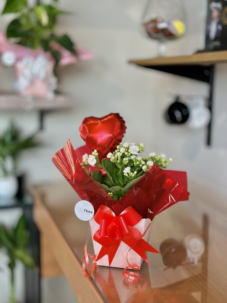 Kalanchoe branca embalada na caixinha + balão coração