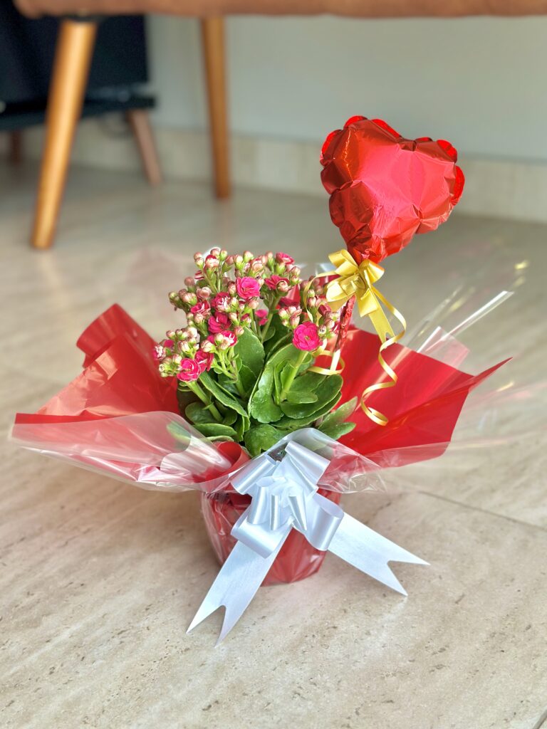 Kalanchoe com balão coração