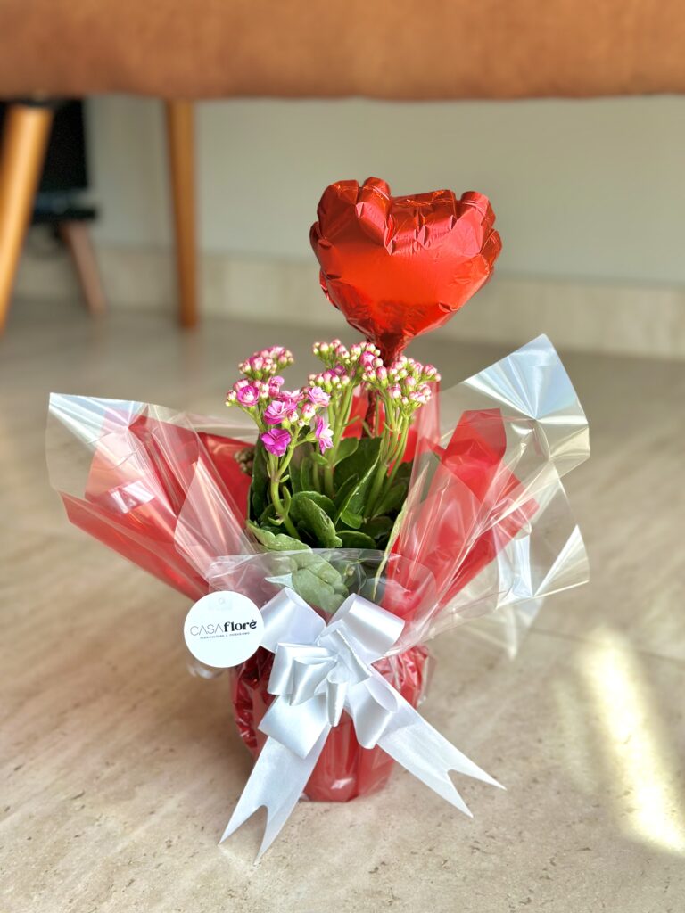 Kalanchoe com balão coração