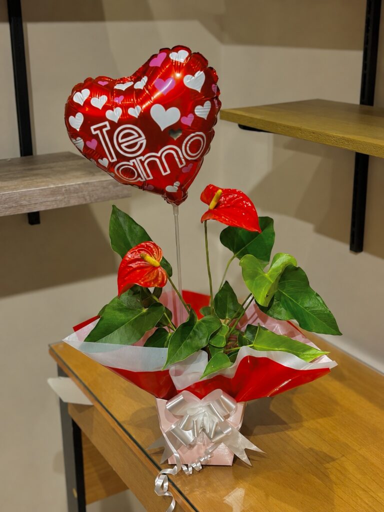 Antúrio vermelho + balão coração