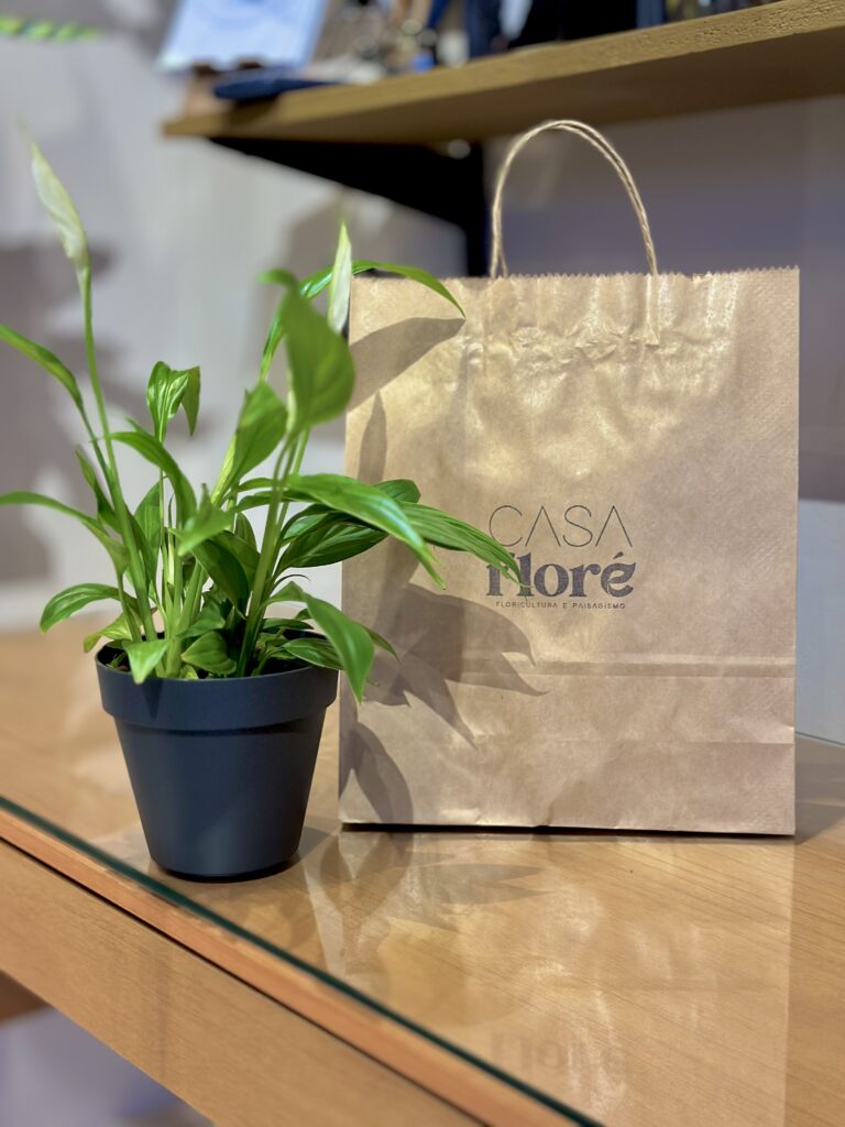 Presente Boas Energias – Mini lírio + cachepô + sacola personalizada