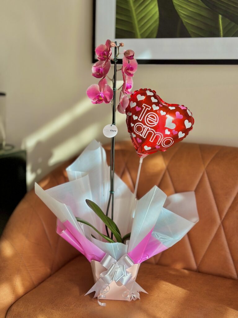Orquídea GG premium + balão coração te amo