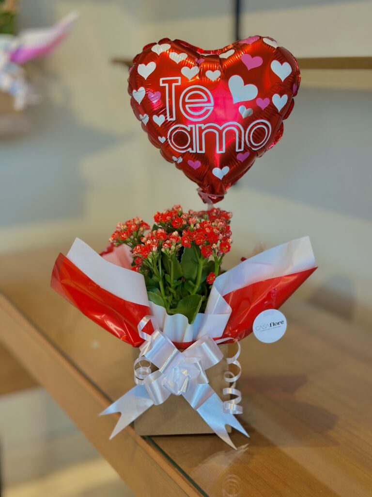 Kalanchoe vermelha na caixinha + balão coração te amo