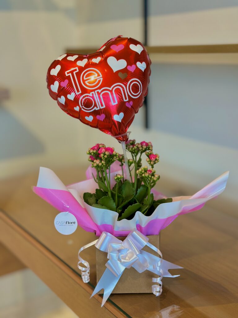 Kalanchoe na caixinha + balão coração te amo