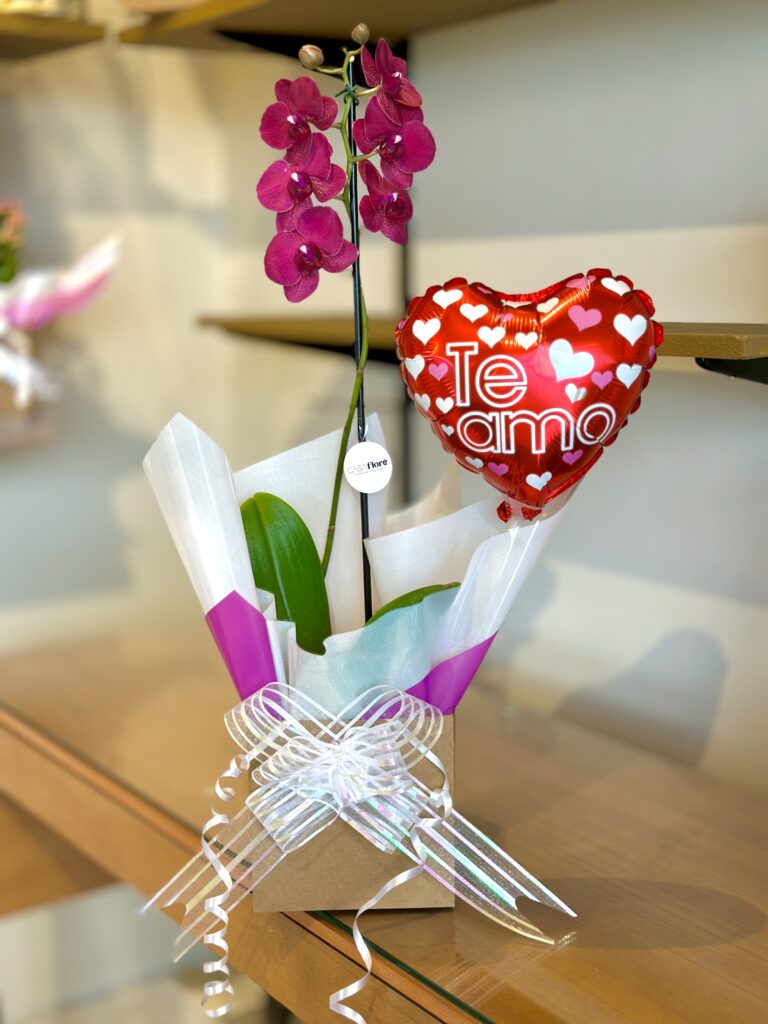 Orquídea GG premium