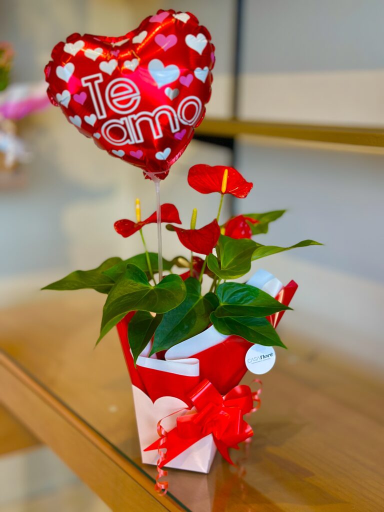 Antúrio vermelho + balão coração te amo