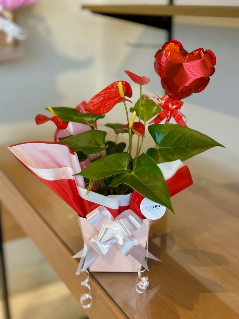 Antúrio vermelho + vareta balão coração