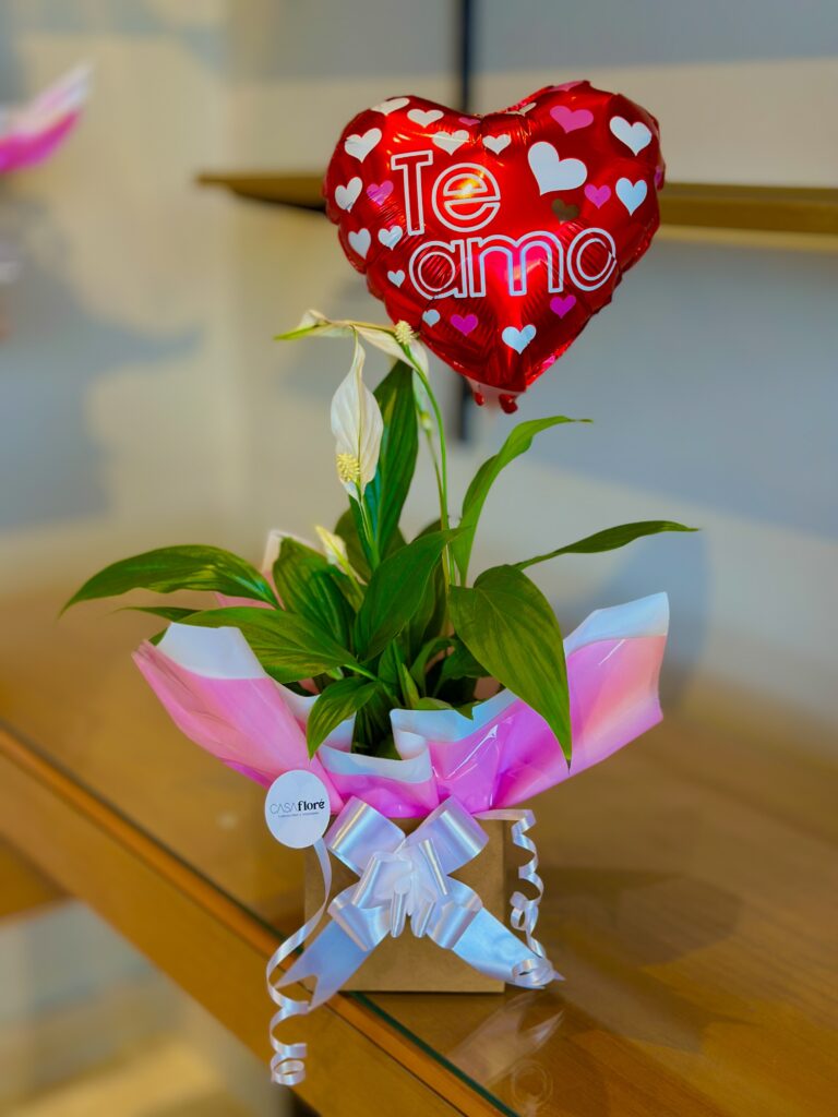 Lírio da paz na caixinha + balão coração te amo