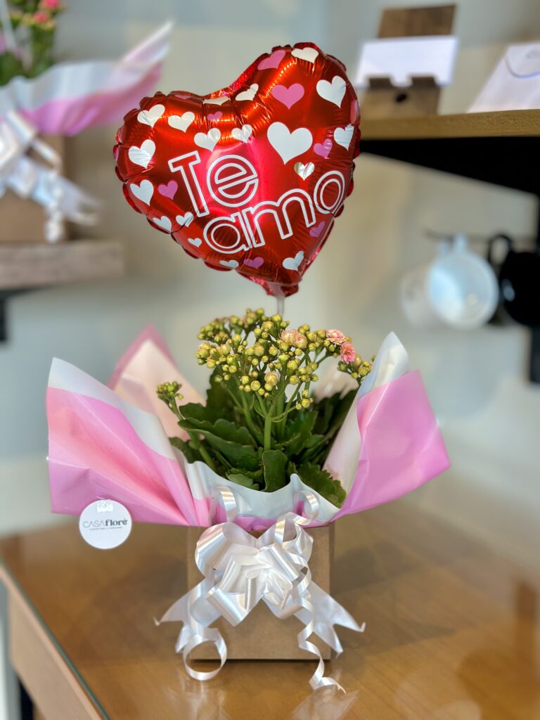 Kalanchoe rosa claro na caixinha + balão coração te amo