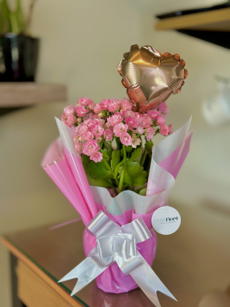 Kalanchoe rosa clara embalada + balão coração rose gold