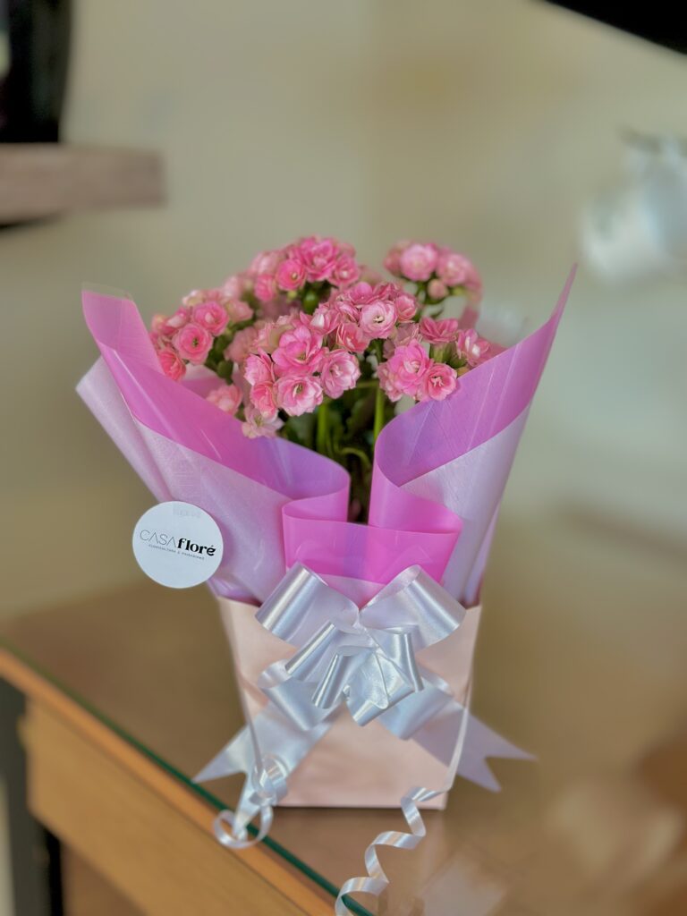 Kalanchoe rosa clara na caixinha
