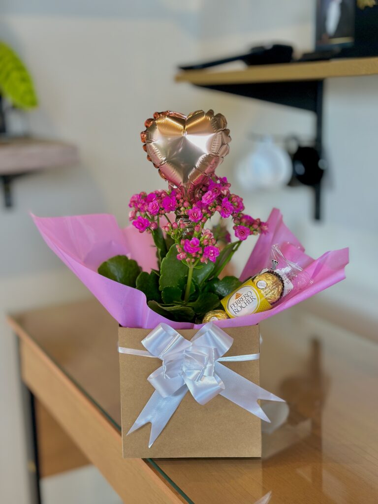 BOX G = Kalanchoe + Ferrero Rocher + balão coração rose gold