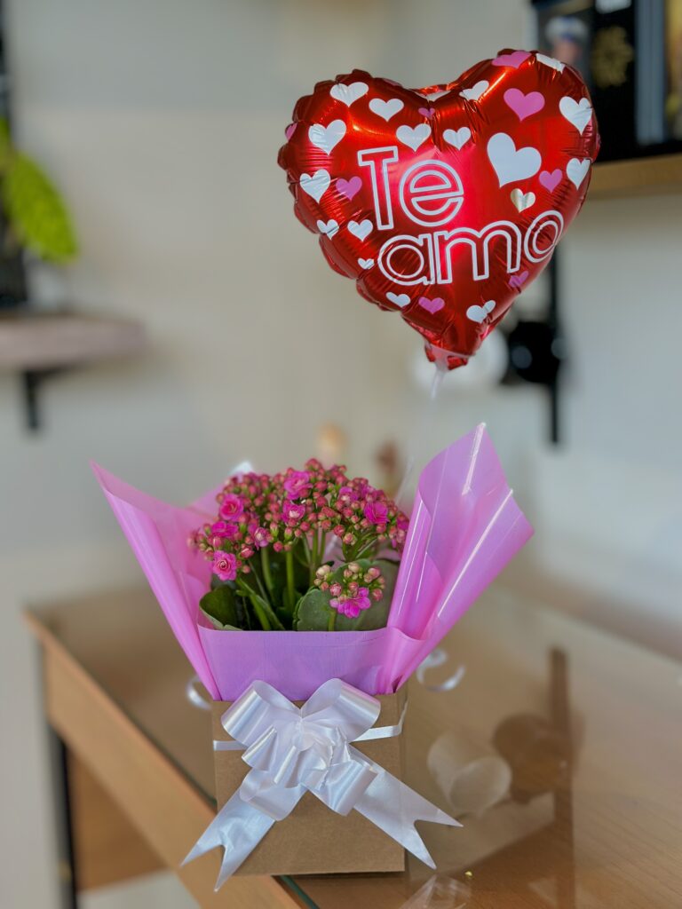 Kalanchoe na caixinha + balão coração te amo