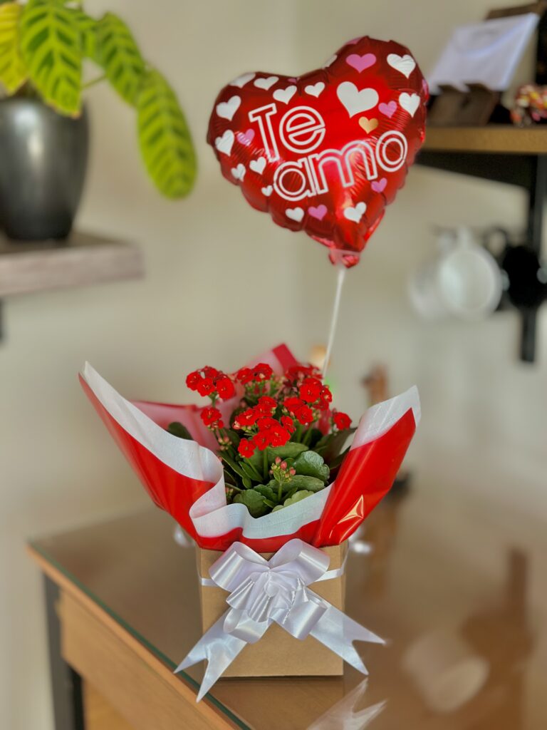 Kalanchoe na caixinha + balão coração te amo