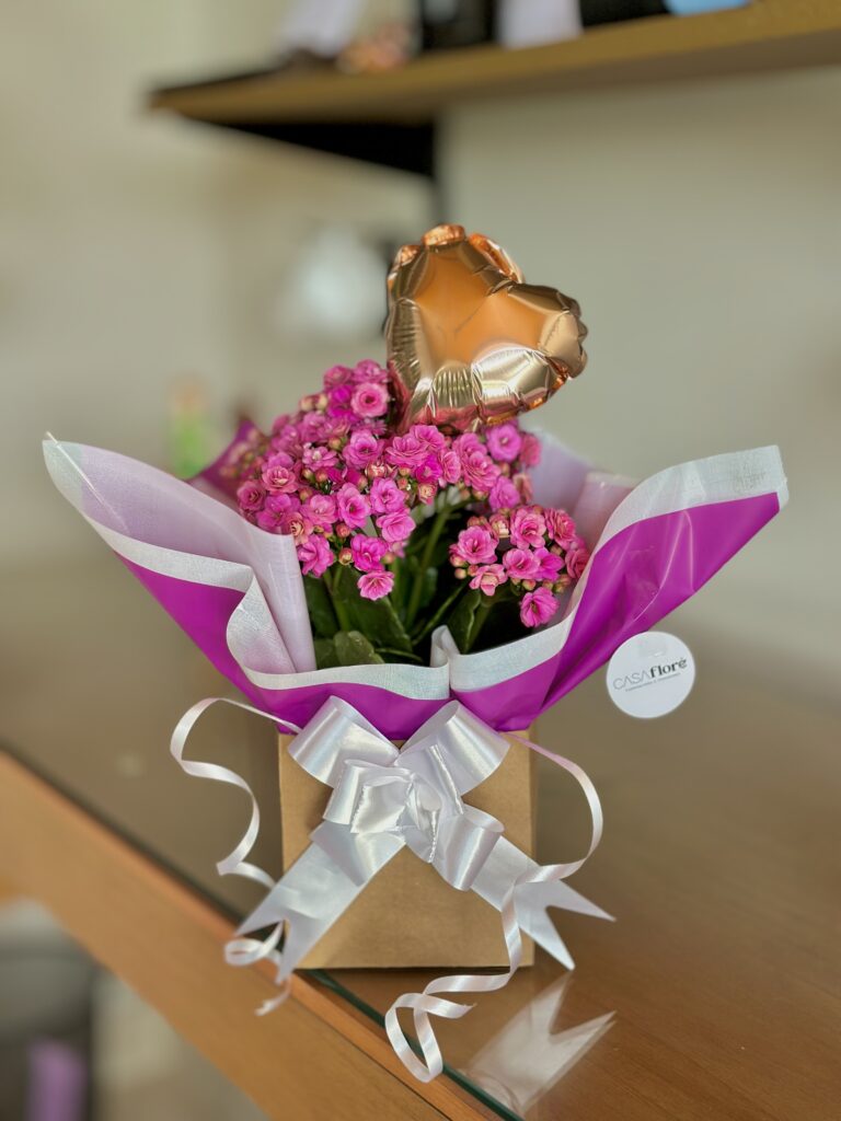 Kalanchoe na caixinha + balão coração