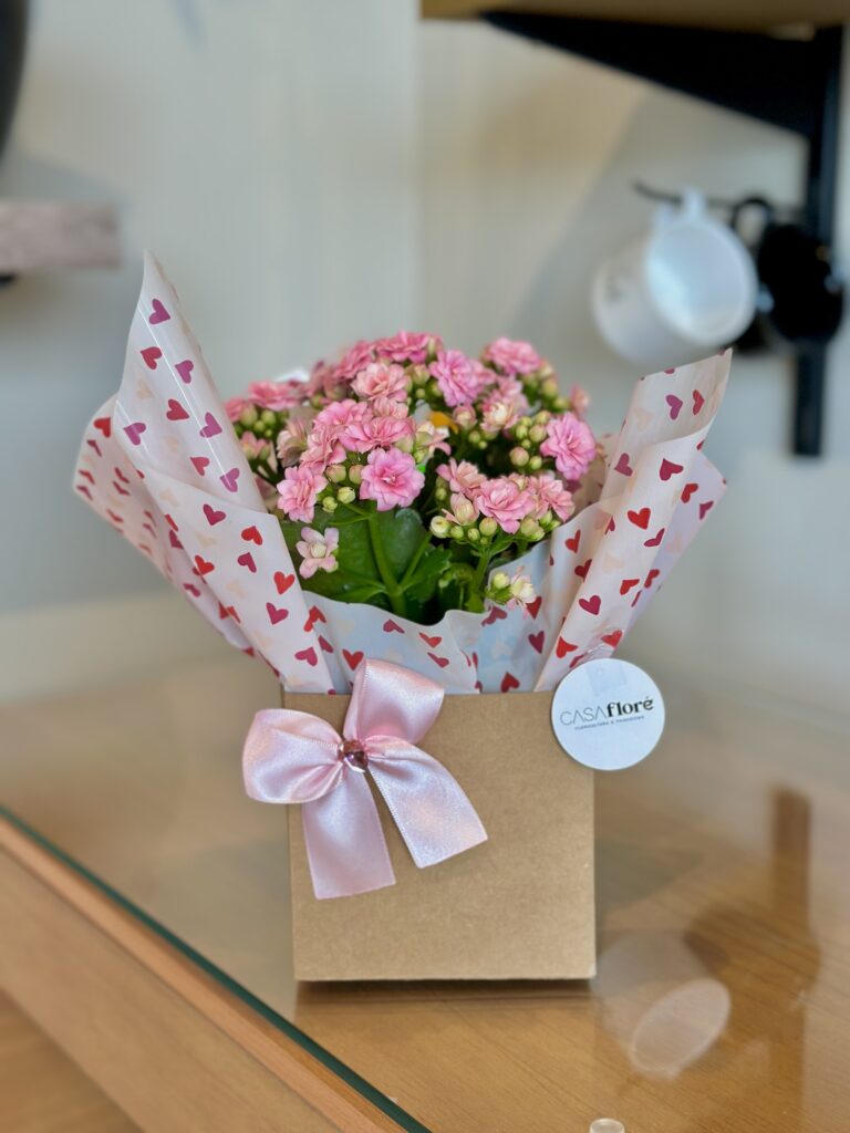 Kalanchoe rosa na caixinha