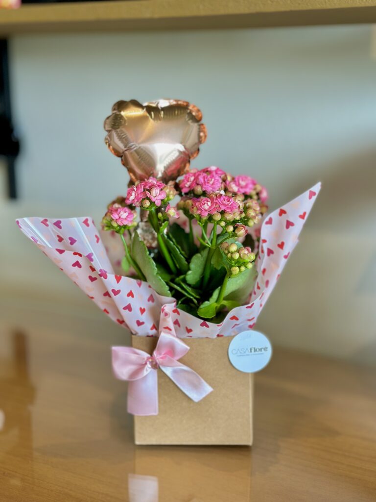 Kalanchoe na caixinha com balão rose gold