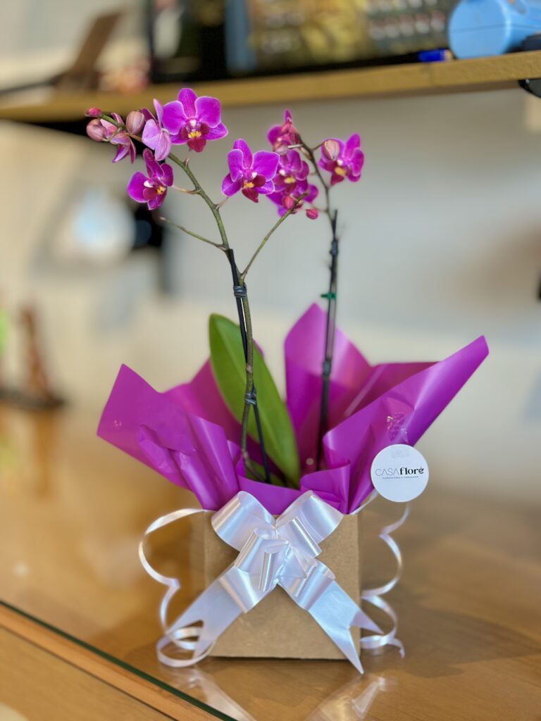 Orquídea na Caixa